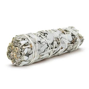 Salvia blanca